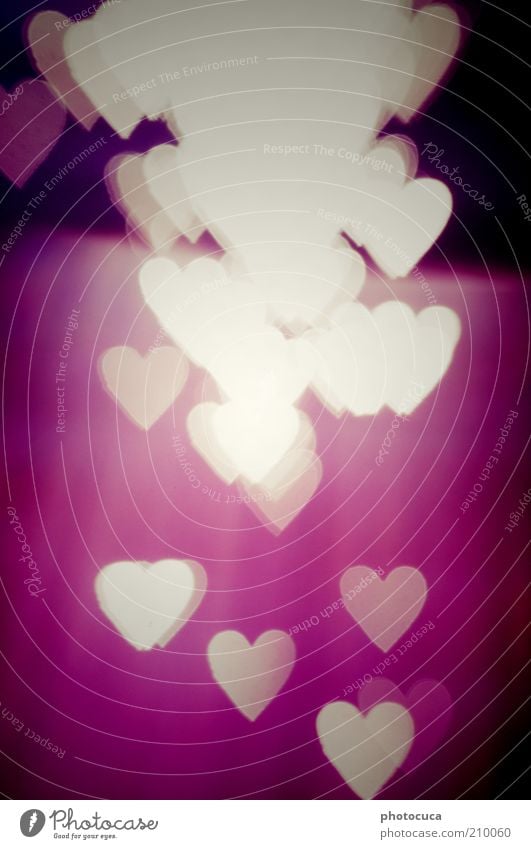 Liebe Kunst Herz Romantik Sehnsucht rot violett viele Herzenslust Liebesgruß Hintergrundbild Grafische Darstellung Symbole & Metaphern Farbfoto Experiment