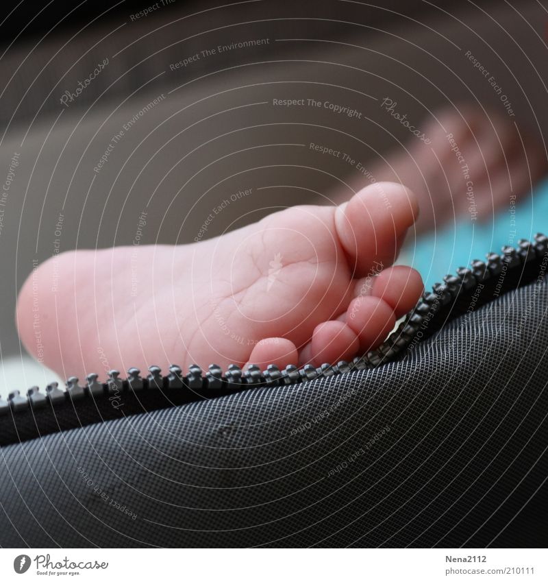 Frühgymnastik Leben Fuß Baby Zehen Farbfoto Nahaufnahme Detailaufnahme Makroaufnahme Kinderfuß Barfuß ruhig schlafen Erholung Fußsohle kindlich Kindheit