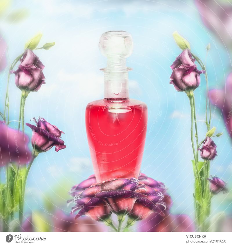 Parfum Flasche und Blumen Lifestyle kaufen Reichtum Stil Design schön Körperpflege Kosmetik Wellness Duft Spa Natur Pflanze Rose Container rosa Glamour liquide