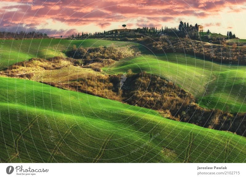 Schöne Felder, Hügel von Toskana, Italien schön ruhig Sommer Haus Umwelt Natur Landschaft Pflanze Himmel Wolken Horizont Baum Gras Wiese Straße grün Idylle