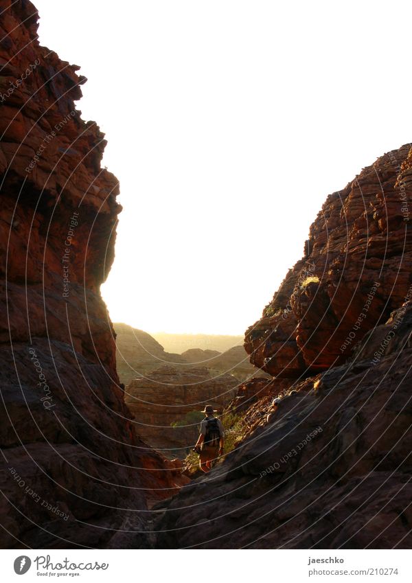 Indy 1 Mensch wandern ästhetisch hell Tatkraft erleben Natur Perspektive Risiko Surrealismus Wege & Pfade Ferne Abenteuer Schlucht Kings Canyon gigantisch