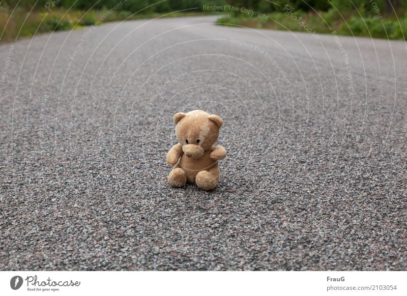 Allein gelassen Menschenleer Straße Wege & Pfade sitzen Traurigkeit warten Enttäuschung Einsamkeit Teddybär Kurve Farbfoto Außenaufnahme Tag