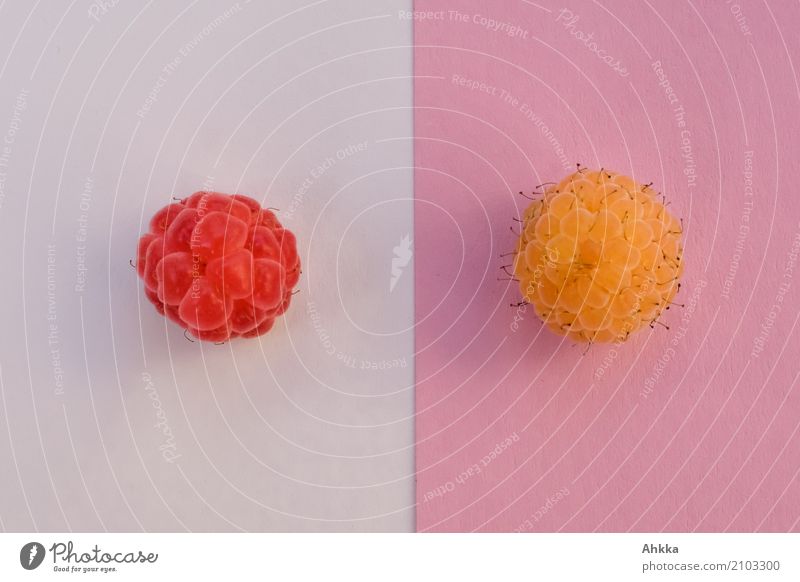 Gegenüberstellung Frucht Himbeeren Ernährung Bioprodukte Vegetarische Ernährung Diät Fasten Slowfood Fingerfood lecker rund gelb rosa rot weiß Ordnung