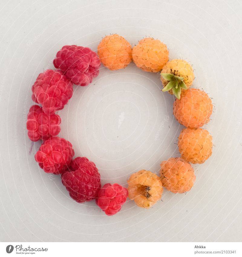 Sommersymbol Frucht Himbeeren Bioprodukte Vegetarische Ernährung Slowfood Fingerfood kreisrund Kette gelb rot Vertrauen Sicherheit Geborgenheit Sympathie