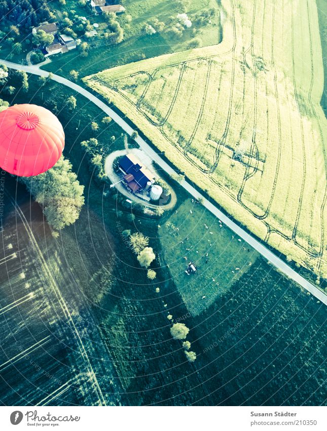bunte Welt Landschaft Schönes Wetter Feld Verkehrswege Straßenverkehr Wege & Pfade Luftverkehr bedrohlich Rapsfeld Ballone Weide Asphalt Haus Wohnsiedlung Dorf
