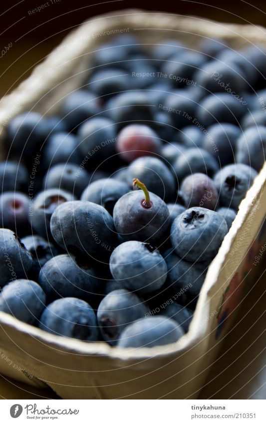 Eine mit Stil Lebensmittel Frucht Blaubeeren Bioprodukte wählen frisch lecker süß blau Vorfreude genießen Farbfoto Innenaufnahme Nahaufnahme Menschenleer