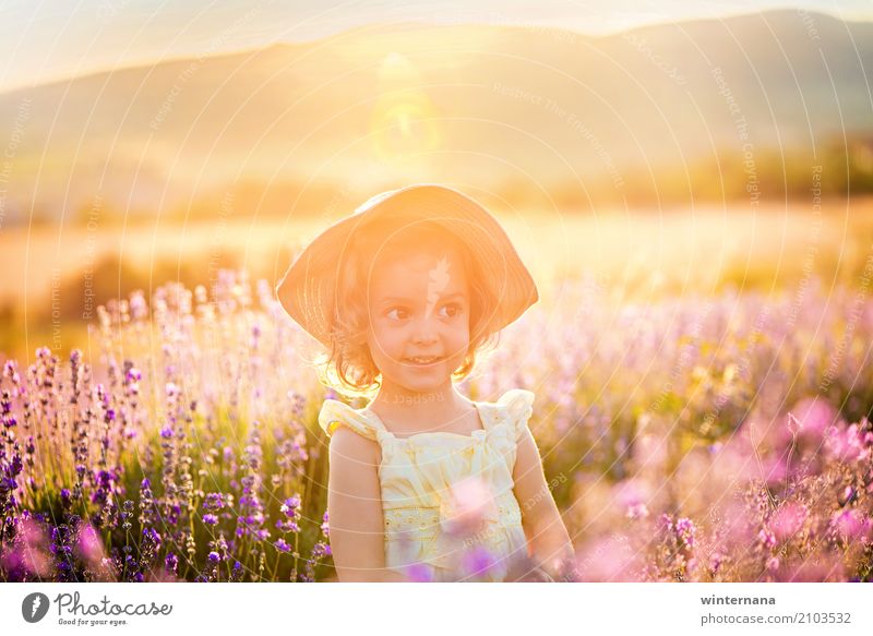 goldenes Licht Kind Mädchen Schwester 1 Mensch 3-8 Jahre Kindheit Natur Landschaft Erde Sonne Sonnenaufgang Sonnenuntergang Sommer Feld Kleid Hut Spielen frei
