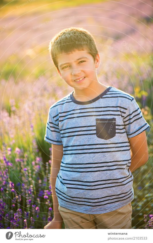 Lavendel Junge Lifestyle Mensch Bruder 1 8-13 Jahre Kind Kindheit Natur Landschaft Sonne Sonnenlicht Sommer Schönes Wetter Feld Lavendelfeld T-Shirt Hose