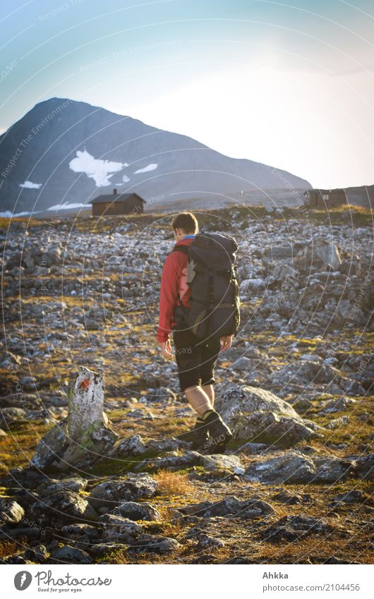 Ziel in Sicht ruhig Ferien & Urlaub & Reisen Berge u. Gebirge wandern Junger Mann Jugendliche Landschaft Klima Felsen Norwegen Troms Hütte Stein