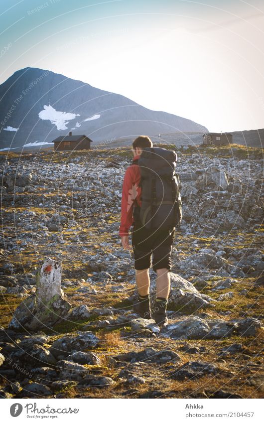 Junger Mann auf dem Weg zu einer Hütte in Norwegen sportlich Ferien & Urlaub & Reisen Abenteuer Berge u. Gebirge wandern Jugendliche Landschaft Felsen