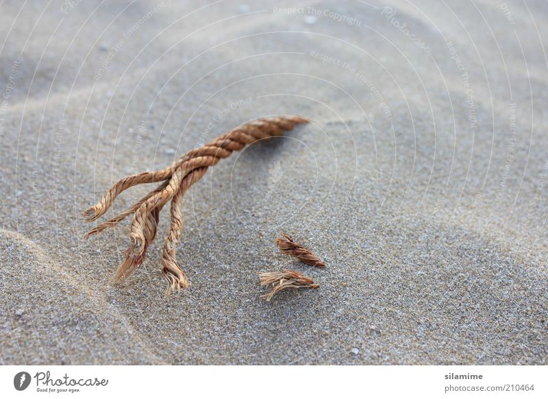 Seil im Sand Umwelt Natur Erde Sommer Schönes Wetter Blitze Strand "Seil Schnur Gewinde" klein natürlich Originalität braun Einsamkeit Erholung