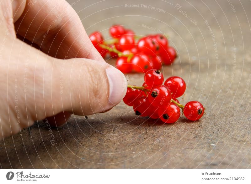 kleine Vitamine Frucht Bioprodukte Vegetarische Ernährung Diät Mann Erwachsene Hand Finger 30-45 Jahre festhalten Fröhlichkeit frisch Gesundheit rot
