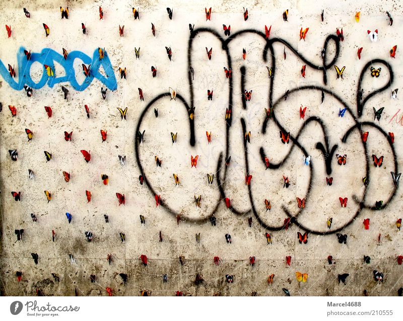 Schmetterlingarmee Gebäude Mauer Wand Fassade Schwarm hängen Schmetterlingsarmee Vielfältig Farbfoto mehrfarbig Außenaufnahme Experiment Tag Totale Graffiti