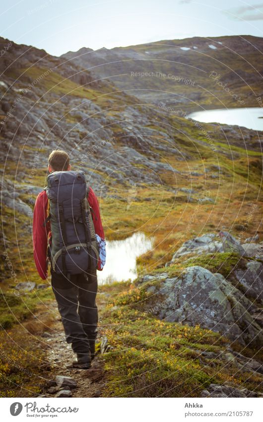 Das Wandern ist des ... Ferien & Urlaub & Reisen Abenteuer Berge u. Gebirge wandern Junger Mann Jugendliche 1 Mensch Natur Norwegen entdecken laufen