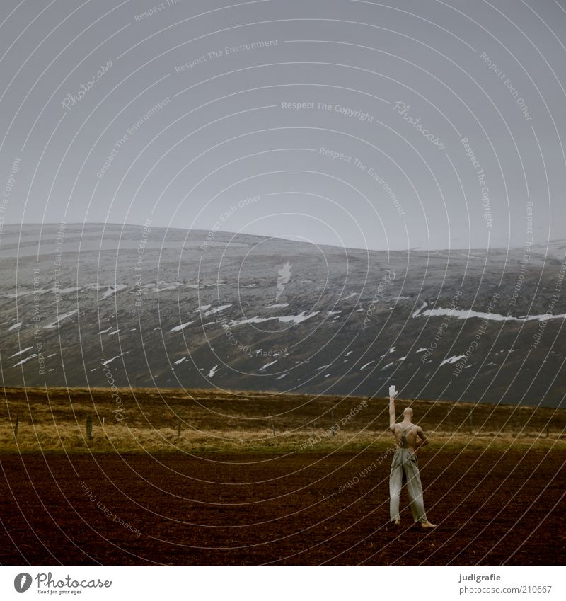 Island Mensch maskulin 1 Kunst Kunstwerk Skulptur Umwelt Natur Landschaft Klima Feld Hügel Berge u. Gebirge Schneebedeckte Gipfel stehen außergewöhnlich dunkel
