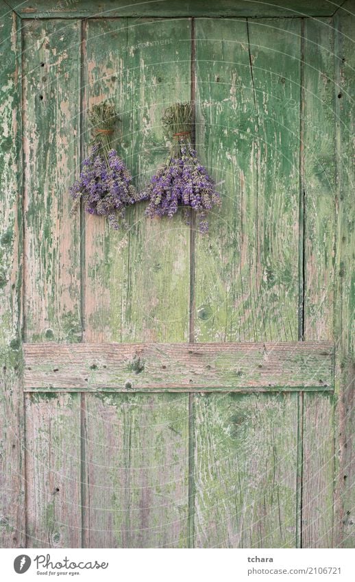 Lavendel Kräuter & Gewürze Stil Design Haus Dekoration & Verzierung Natur Pflanze Blatt Blüte Fassade Blumenstrauß Holz alt frisch natürlich braun grün weiß Tür