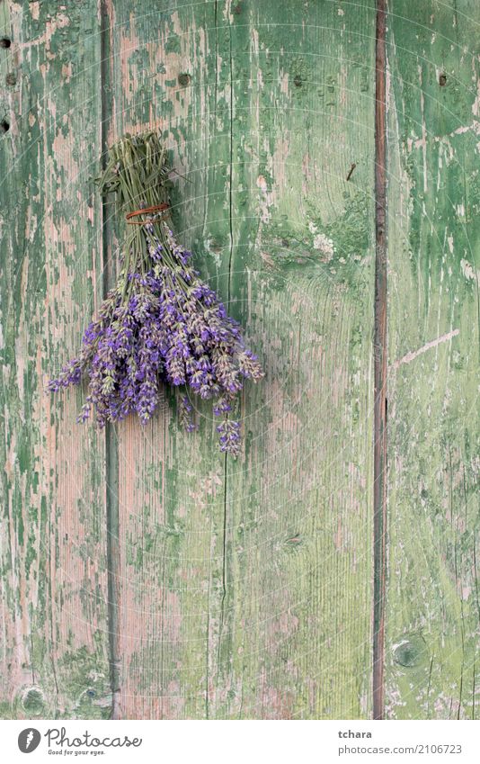 Lavendel Kräuter & Gewürze Design Dekoration & Verzierung Natur Pflanze Blume Blatt Blüte Blumenstrauß Holz alt frisch natürlich braun grün Tür Konsistenz