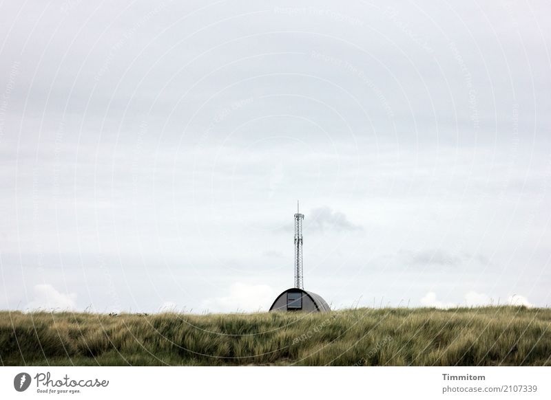 Mit Meerblick. Ferien & Urlaub & Reisen Umwelt Landschaft Himmel Pflanze Küste Nordsee Dänemark Gebäude Architektur Mast Antenne einfach grau grün unpersönlich