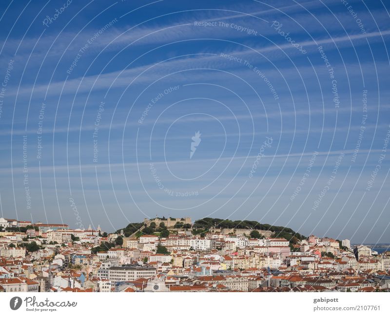 Lissabon Sommer Schönes Wetter Portugal Stadt Hauptstadt Stadtzentrum Haus Ferien & Urlaub & Reisen Horizont Perspektive Wachstum Häusliches Leben Hügel eng