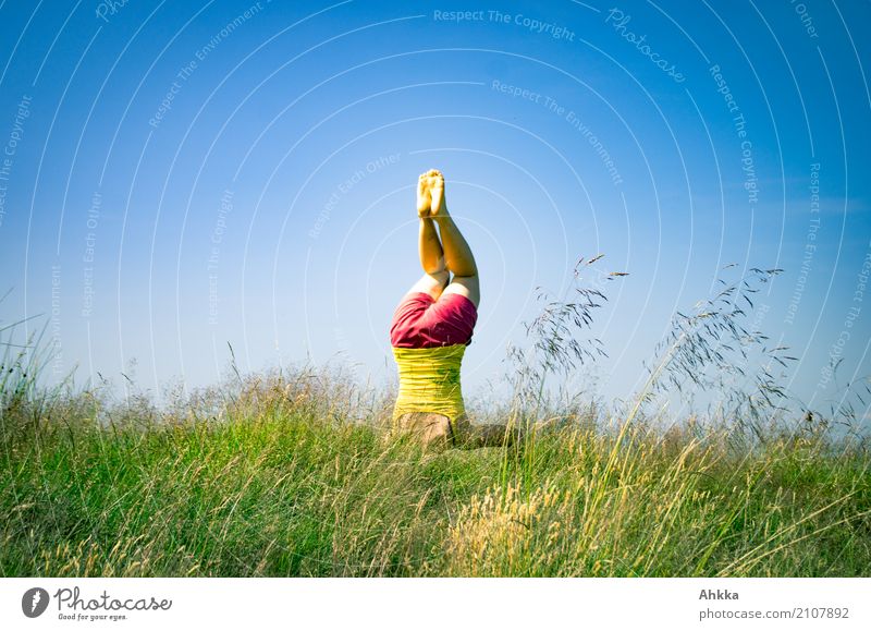 Sommerspäße II Freude Gesundheit Leben Wohlgefühl Erholung Meditation Junge Frau Jugendliche 1 Mensch Natur Wolkenloser Himmel Schönes Wetter Gras sportlich