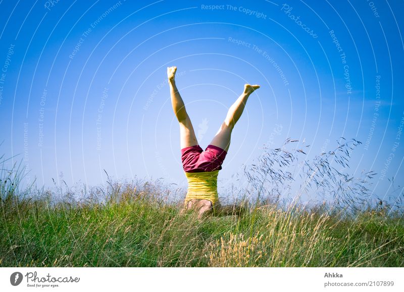 Sommerspäße I Freude Gesundheit harmonisch Wohlgefühl Abenteuer Junge Frau Jugendliche Leben 1 Mensch Natur Wolkenloser Himmel Gras frei Fröhlichkeit frisch