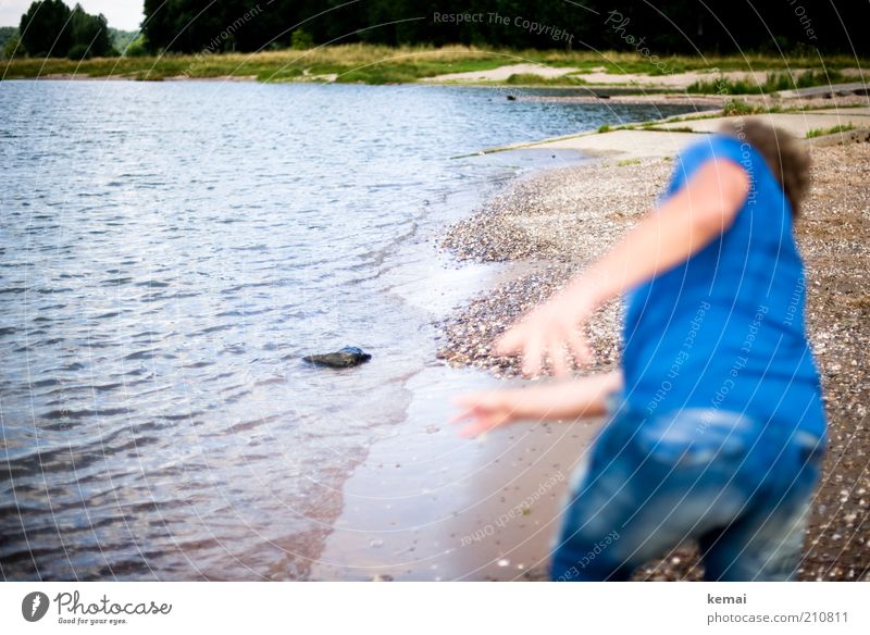 Steine hüpfen lassen Mensch maskulin Rücken Gesäß 1 Umwelt Natur Landschaft Wasser Sonnenlicht Sommer Schönes Wetter Gras Küste Flussufer Rhein werfen blau