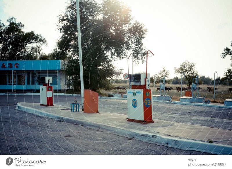 Biosprit Natur Kasachstan Tankstelle Roadtrip Farbfoto Außenaufnahme Menschenleer Abend Ferien & Urlaub & Reisen Zapfsäule Roadmovie authentisch unterwegs