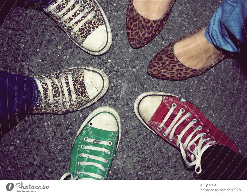 meine schuhe <3 Freude Mensch feminin Fuß 18-30 Jahre Jugendliche Erwachsene Rockabilly Mode Schuhe Chucks mehrfarbig grau grün rot Leopardenmuster Ballerina
