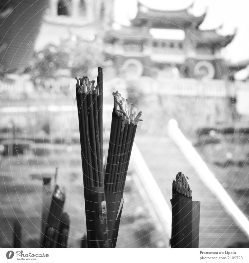 Räucherstäbchen Penang Malaysia Asien Menschenleer Tempel Pavillon Sehenswürdigkeit Rauchen alt ästhetisch Ferne historisch nah Stadt grau Duft entdecken