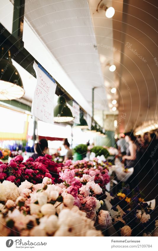 Roadtrip West Coast USA (260) Pflanze Duft Markthalle Markttag Seattle Pfingstrose Blume Blüte mehrfarbig Hängelampe Kunde kaufen Händler Lichtpunkt