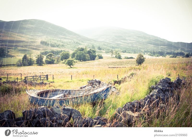 Gestrandet Landwirtschaft Forstwirtschaft Umwelt Natur Landschaft Gras Wiese Schottland Mauer Wand Ruderboot Stimmung authentisch beweglich Leben Senior