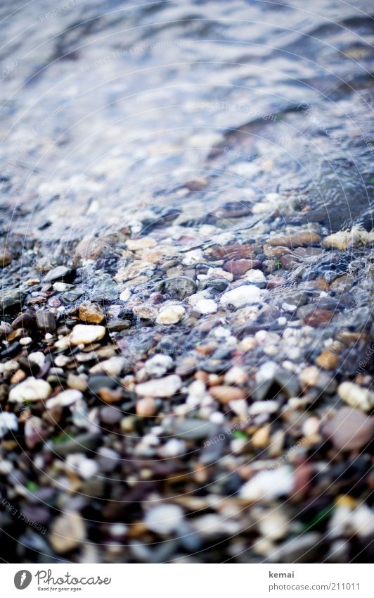 Steine (zum hüpfen lassen) Umwelt Natur Wasser Sonnenlicht Sommer Schönes Wetter Küste Flussufer Bach Rhein steinig Kieselsteine nass Farbfoto Gedeckte Farben