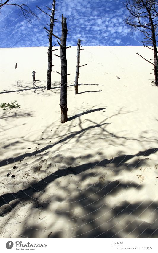 Düne "Le Pilar" Umwelt Natur Sand Himmel Sommer Hügel fantastisch natürlich neu Farbfoto Außenaufnahme Menschenleer Textfreiraum unten Tag Licht Schatten