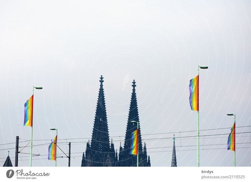 Viele Regebogenfahnen vor der Kulisse des Kölner Doms beim CSD in Köln Regenbogenflagge Regenbogenfahne queer regenbogenfahnen Christopher Street Day LGBTQ