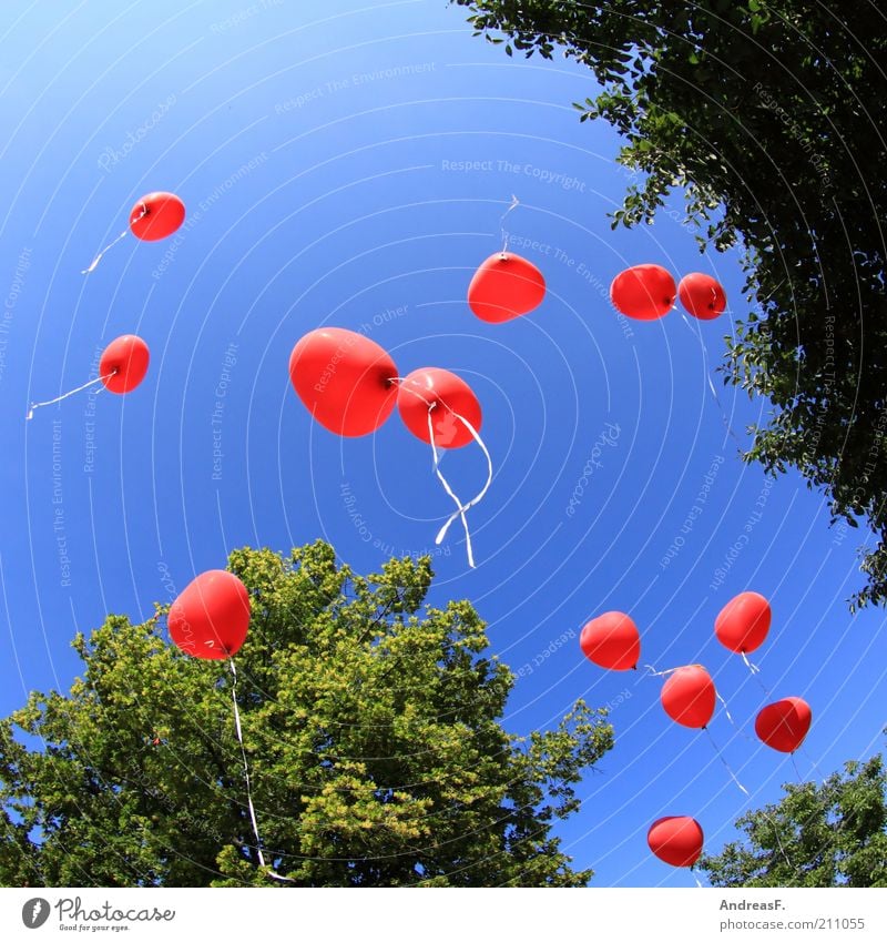 Ballons Glück Sommer Veranstaltung Feste & Feiern Valentinstag Herz fliegen frei rot Zusammensein Liebe Verliebtheit Treue Romantik Hochzeitstag (Jahrestag)