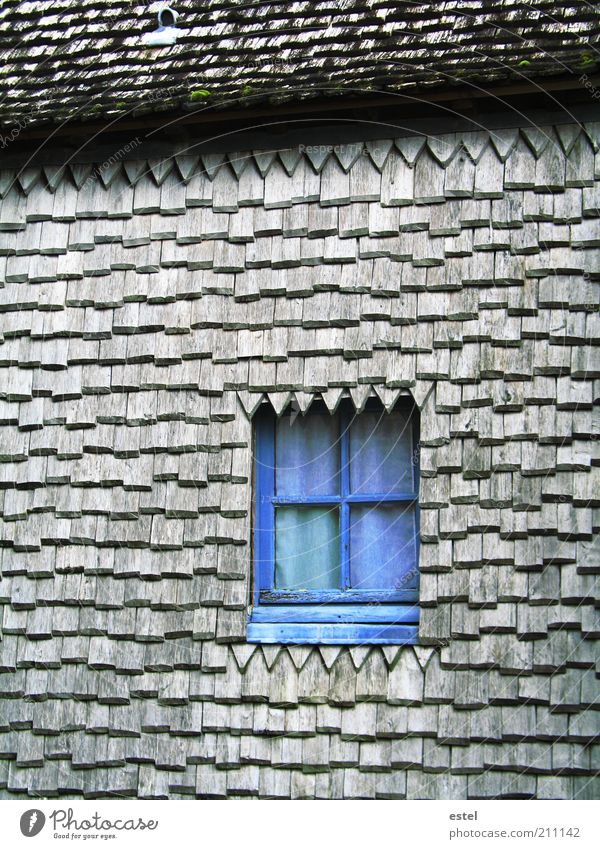 Secret Window - Das geheime Fenster Kultur Mont St.Michel Frankreich Europa Altstadt Bauwerk Fassade Dach Holz Glas alt eckig historisch blau grau Geborgenheit