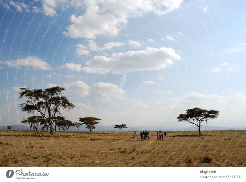 Weite Ferne Freiheit Safari wandern Mensch Menschengruppe Himmel Wolken Baum Steppe gehen ruhig Crescent Island Kenia Afrika Farbfoto Außenaufnahme