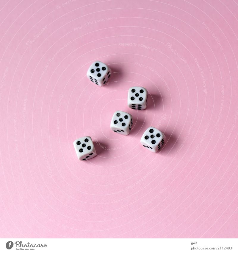 5 x 5 Freizeit & Hobby Spielen Brettspiel Glücksspiel Kinderspiel Kniffel Gesellschaftsspiele Ziffern & Zahlen Würfel Würfelspiel würfeln ästhetisch rosa