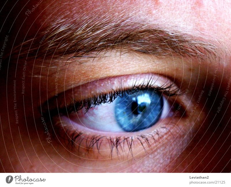 Just watchin' ... Nahaufnahme Reflexion & Spiegelung Mensch Auge blau Farbe Makroaufnahme Konzentration Regenbogen Pupille Augenfarbe Wimpern Augenbraue