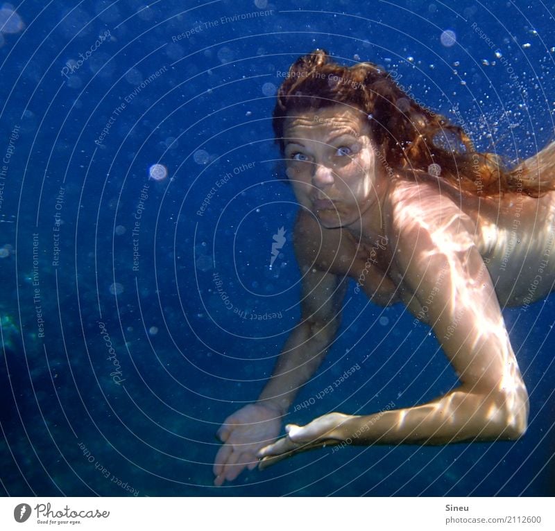nackte Frau unterwasser Schwimmen & Baden Sommer Sommerurlaub Meer Wassersport tauchen feminin Erwachsene Gesicht Frauenbrust Arme 1 Mensch Urelemente maritim