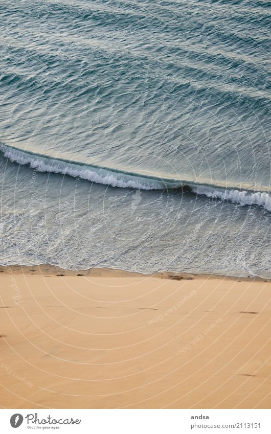 Küstenabschnitt aus der Vogelperspektive Strand Wellen Meer von oben Drohnenansicht Drohnenaufnahme Landschaft Wasser Natur Ferien & Urlaub & Reisen Sand