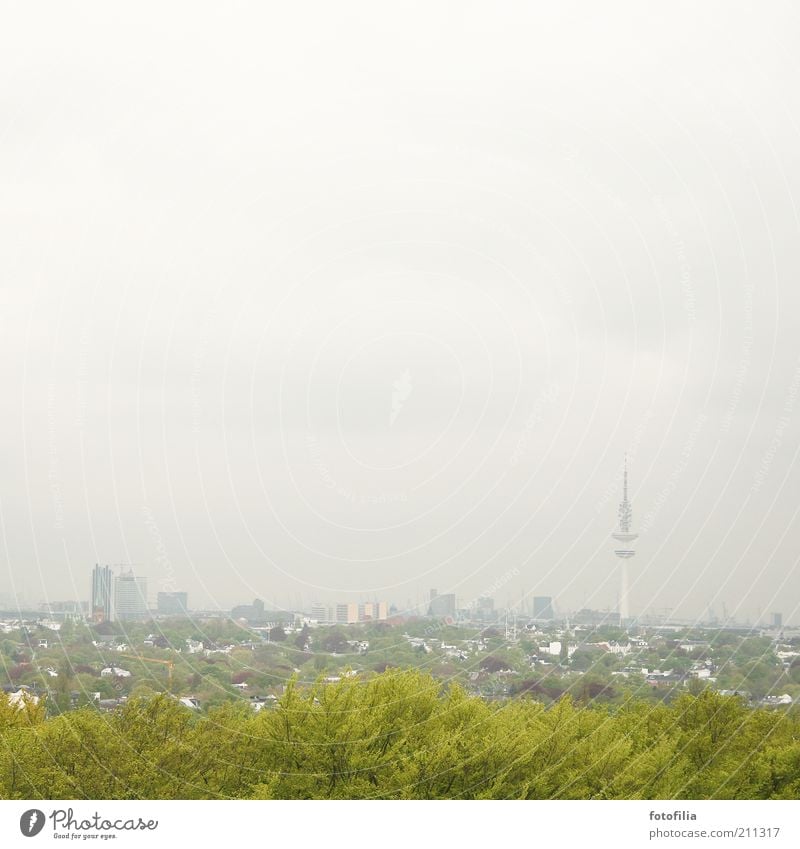 grau-grünes Hamburg Landschaft schlechtes Wetter Nebel Baum Stadt Hauptstadt Skyline Hochhaus Park Turm Sehenswürdigkeit entdecken groß hoch Fernsehturm