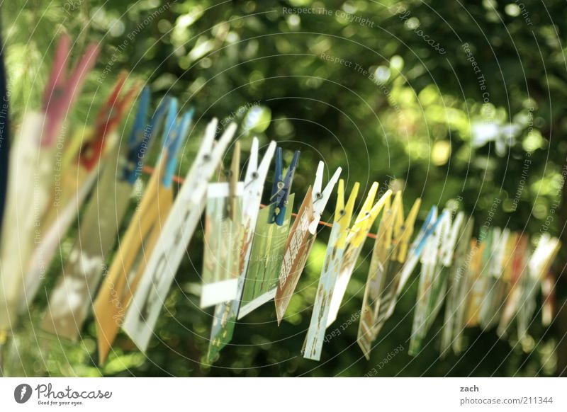 Karten Garten Feste & Feiern Ausstellung Schreibwaren Sammlung hängen grün Ordnungsliebe Design Kreativität Postkarte Wäscheklammern Wäscheleine Reihe