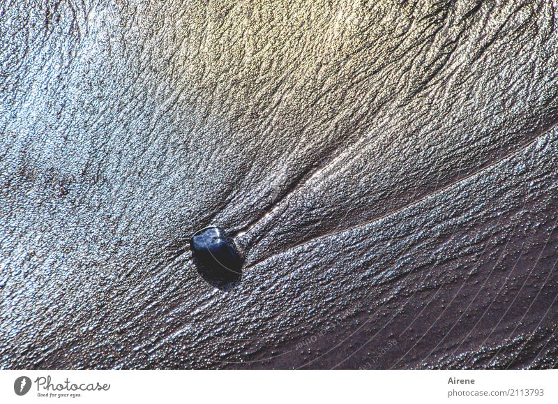 Ein Stein Strand Sandstrand Urelemente Wasser Gezeiten Ebbe festhalten Flüssigkeit glänzend maritim stark mehrfarbig grau schwarz Einsamkeit einzigartig Farbe