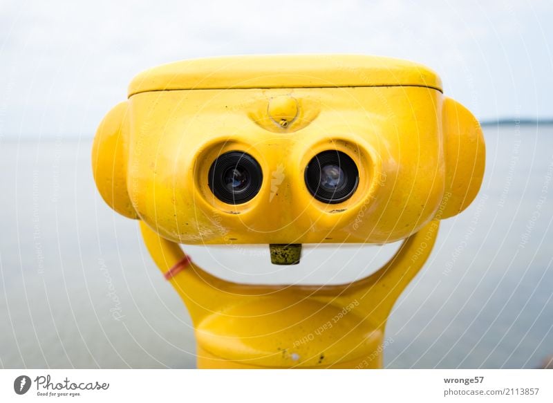 !Trash! 2017 | Immer lächeln Teleskop Fernglas Glas Metall Lächeln lachen warten lustig nah maritim gelb Ferne Ostsee Küste Farbfoto mehrfarbig Außenaufnahme