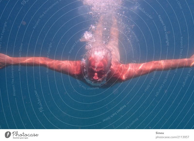 Der Mann aus dem Meer II Schwimmen & Baden Ferien & Urlaub & Reisen Sommer Wassersport tauchen Erwachsene Kopf Arme 1 Mensch Urelemente grauhaarig atmen
