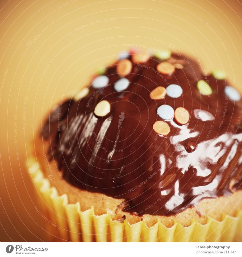 Geburtstags-Leckerei Teigwaren Backwaren Kuchen Schokolade Muffin braun Konfetti Dekoration & Verzierung Farbfoto Nahaufnahme Detailaufnahme Makroaufnahme