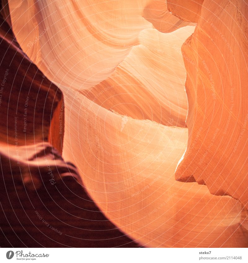 Feinschliff Felsen Schlucht Antelope Canyon orange ästhetisch bizarr Surrealismus Strukturen & Formen Farbe geschwungen sanft Pastellton Sandstein Erosion