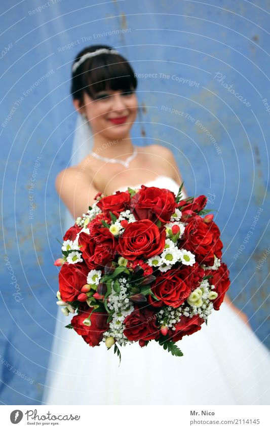 Feierlaune | kleine Aufmerksamkeit Valentinstag Muttertag Hochzeit feminin 1 Mensch Blume Rose Glück Lebensfreude Blumenstrauß Stimmung Glückwünsche Alles Gute