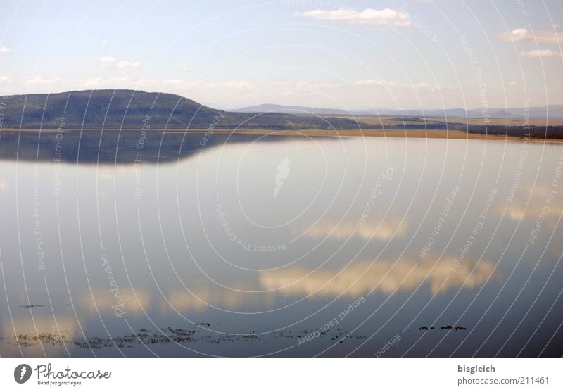 Lake Nakuru / Kenia Natur Landschaft Seeufer ruhig Afrika Farbfoto Gedeckte Farben Außenaufnahme Textfreiraum unten Himmel Wolken Reflexion & Spiegelung